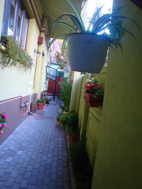 Sonja'S Nest Apartment Sibiu Exterior photo